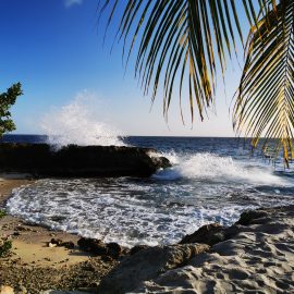 Playa y alrededores