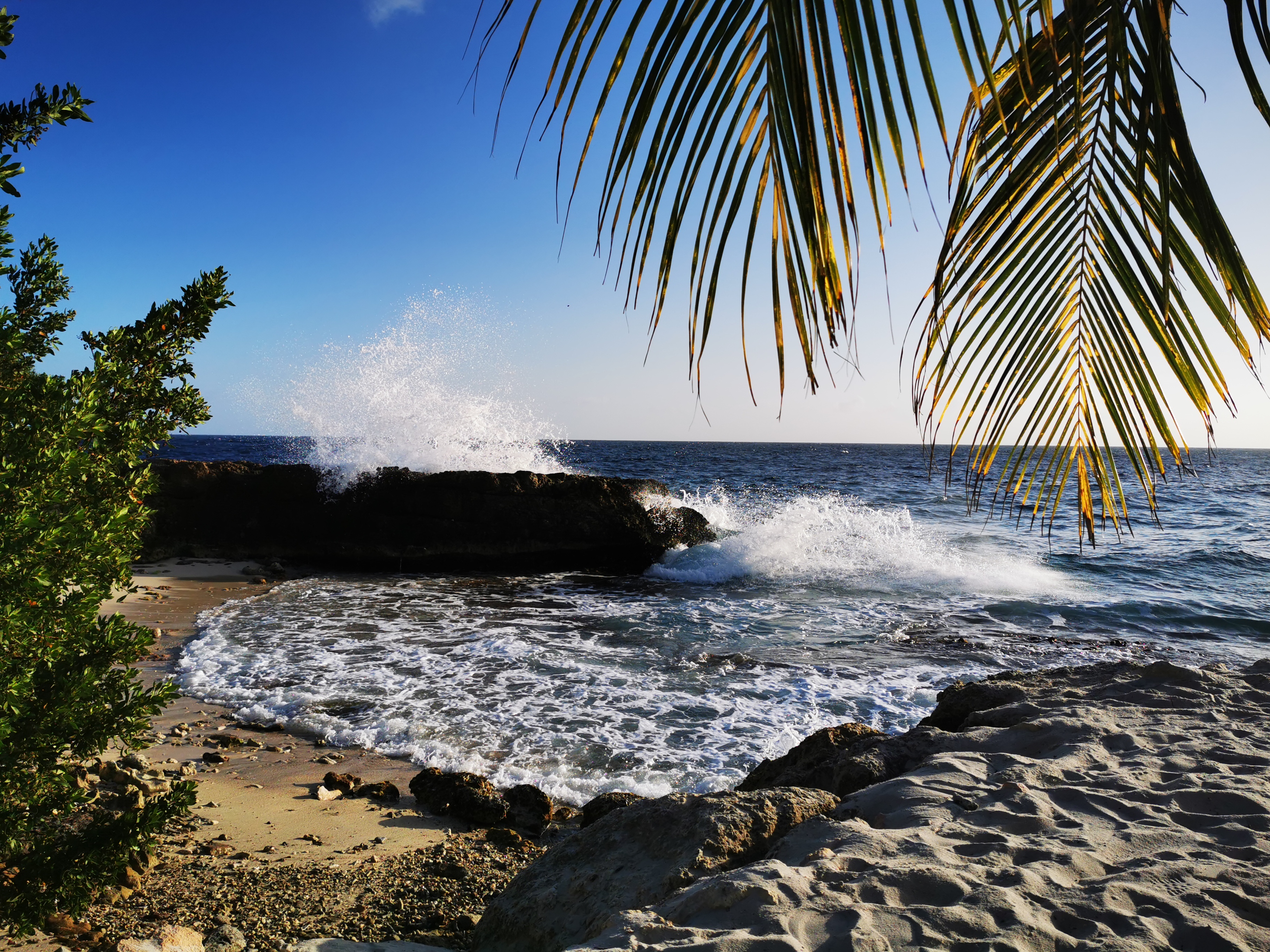 Playa y alrededores